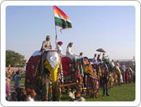 Elephant Festival, Jaipur, Rajasthan